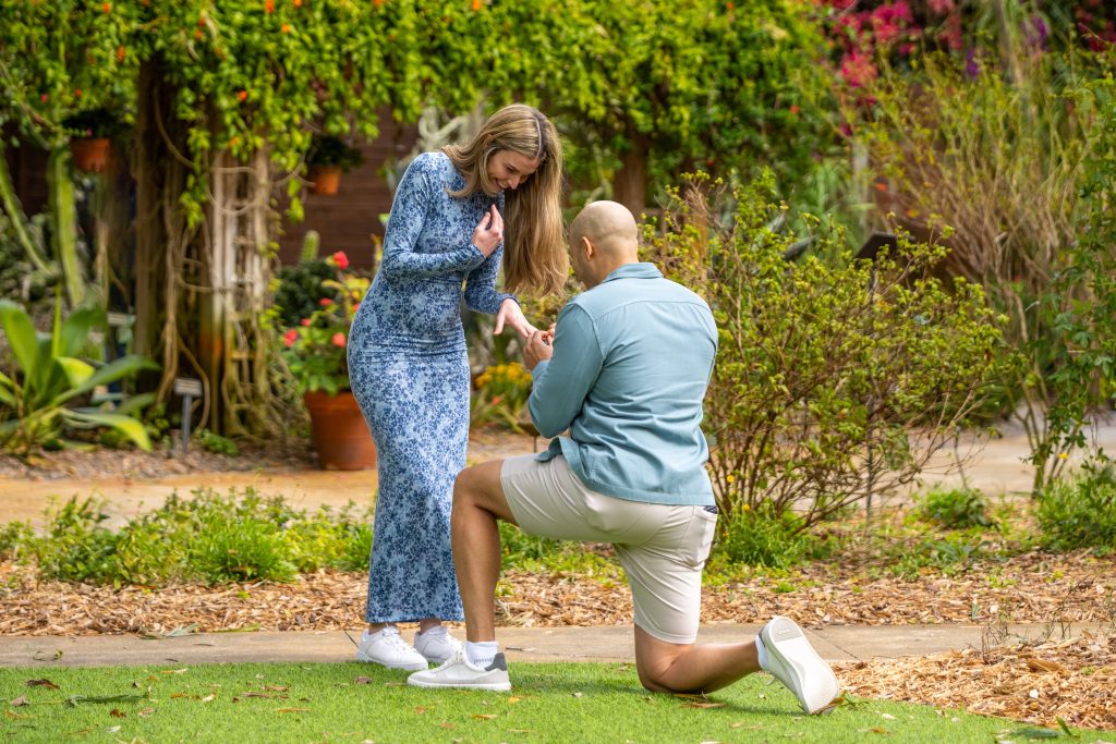 sunken gardens proposal