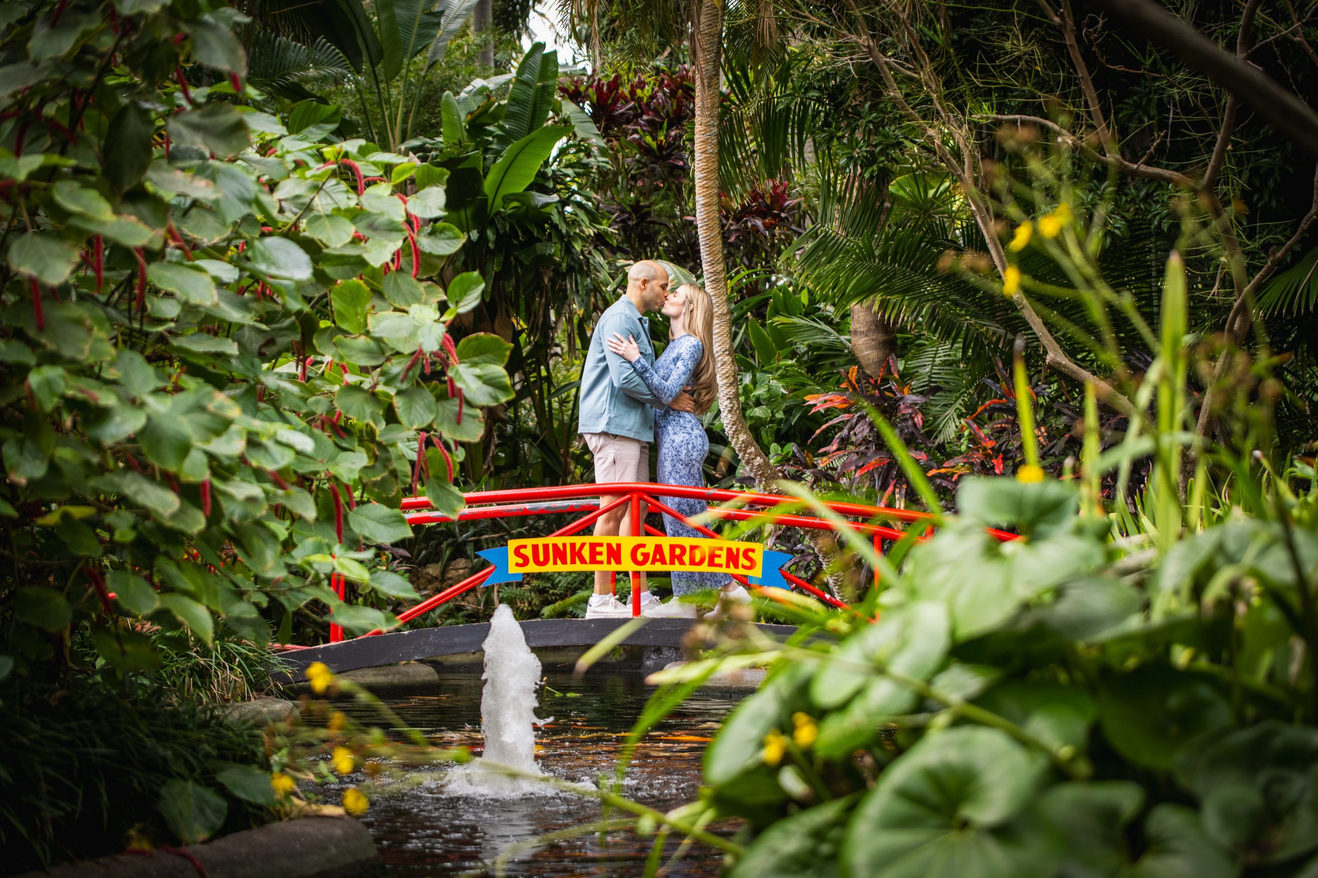 st pete photographer