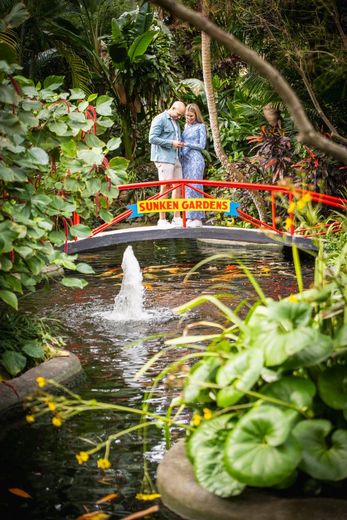 sunken gardens proposal