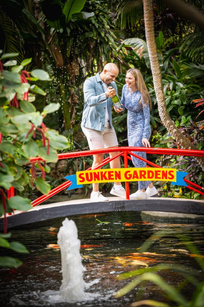 sunken gardens proposal